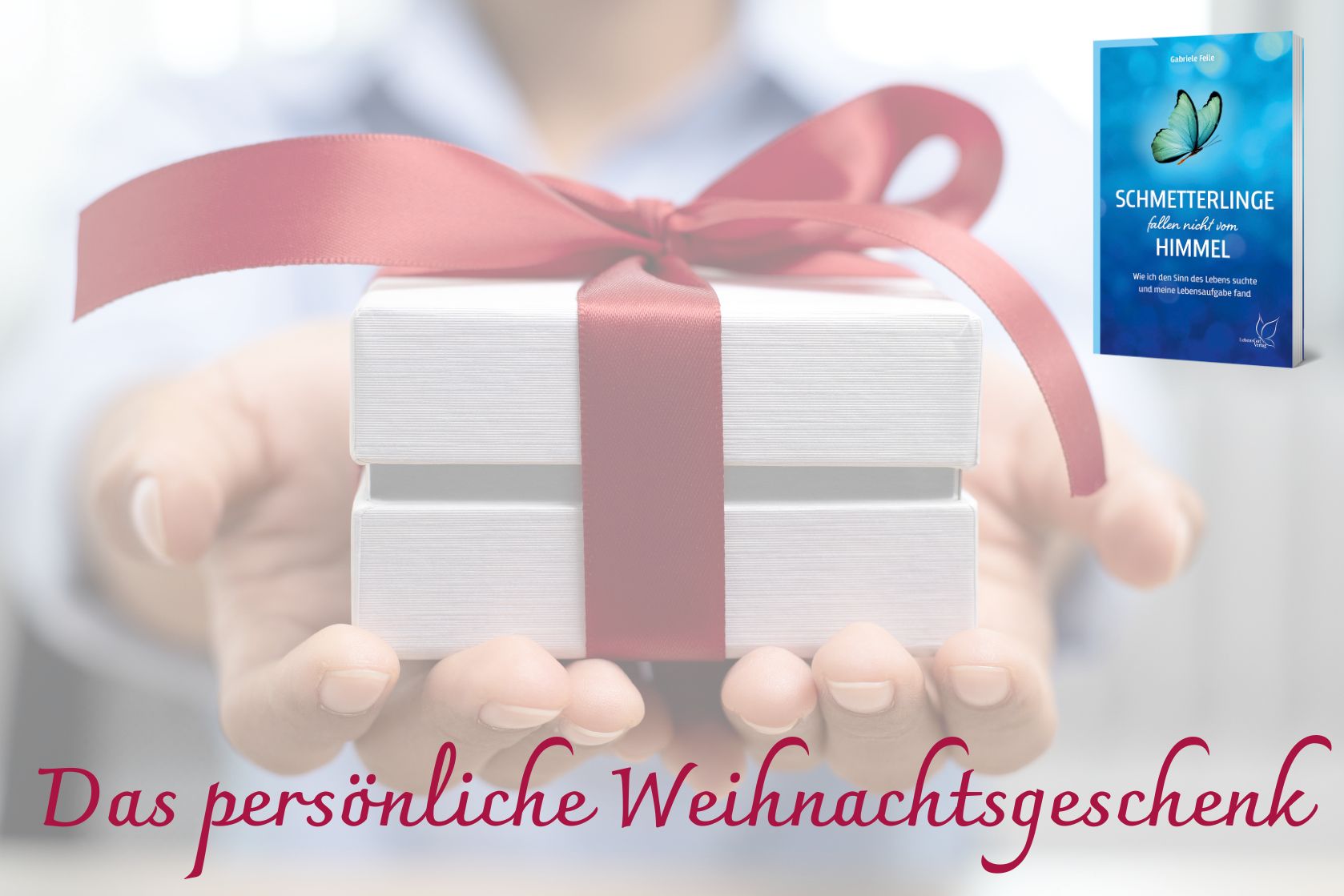 Buchbestellung Weihnachten Geschenk mit roter Schleife wird in die Kamera gehalten. Text: Das persönliche Weihnachtsgeschenk: Schmetterlinge fallen nicht vom Himmel